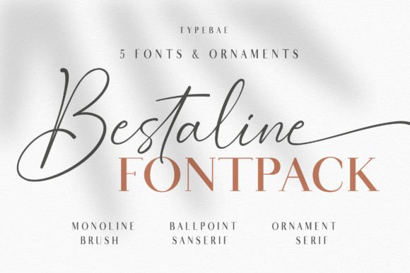 Bestaline: A Versatile Script Typeface